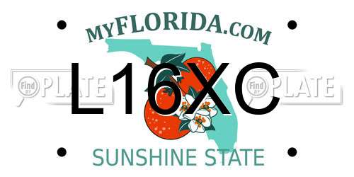 L16XC Florida License Plate