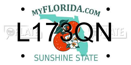 L173QN Florida License Plate