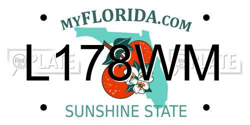 L178WM Florida License Plate