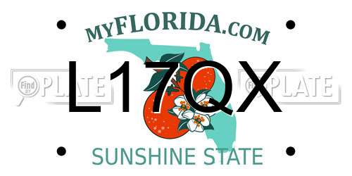 L17QX Florida License Plate