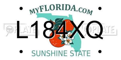L184XQ Florida License Plate