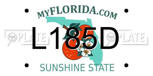 L185D Florida License Plate