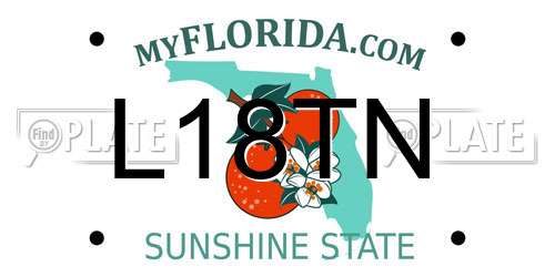 L18TN Florida License Plate