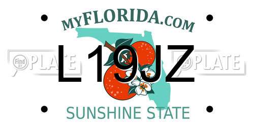 L19JZ Florida License Plate