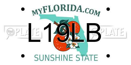 L19LB Florida License Plate