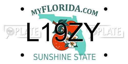 L19ZY Florida License Plate