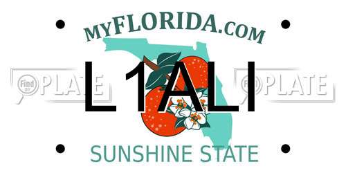 L1ALI Florida License Plate