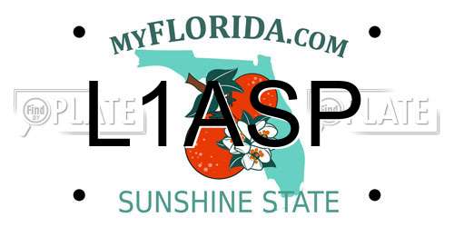 L1ASP Florida License Plate