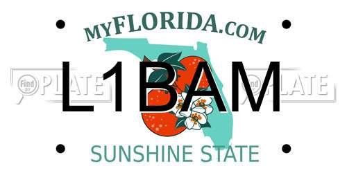 L1BAM Florida License Plate
