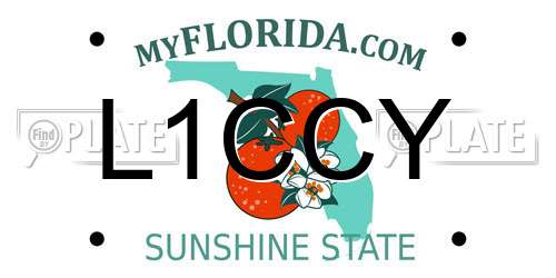 L1CCY Florida License Plate