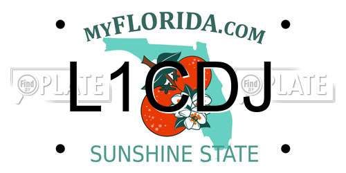 L1CDJ Florida License Plate