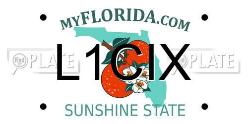 L1CIX Florida License Plate