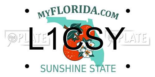 L1CSY Florida License Plate