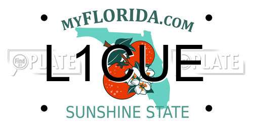 L1CUE Florida License Plate