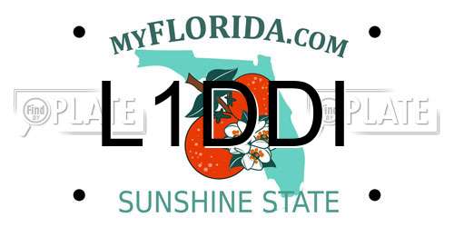 L1DDI Florida License Plate