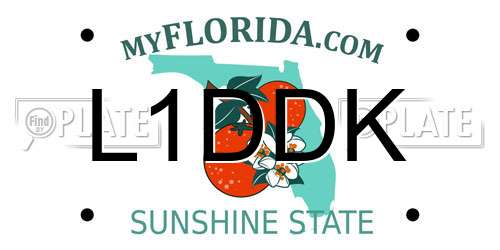 L1DDK Florida License Plate
