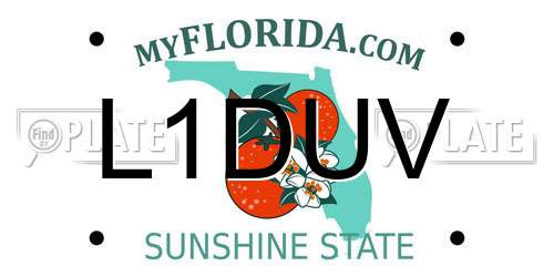 L1DUV Florida License Plate