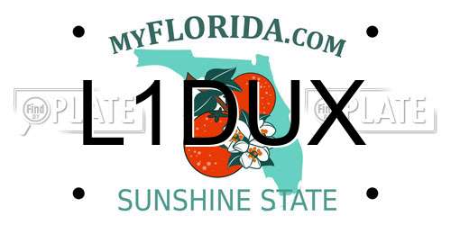 L1DUX Florida License Plate