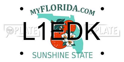 L1EDK Florida License Plate