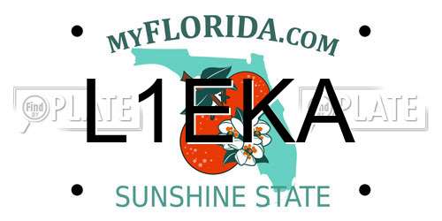 L1EKA Florida License Plate