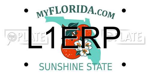 L1ERP Florida License Plate