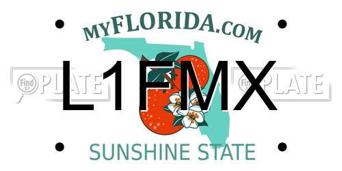 L1FMX Florida License Plate