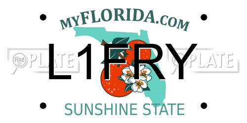 L1FRY Florida License Plate