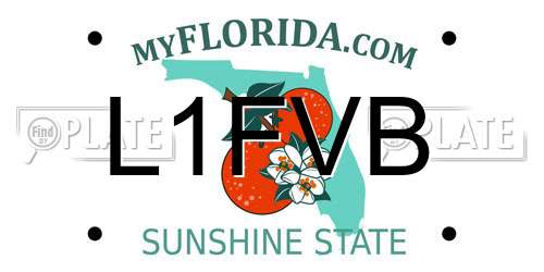 L1FVB Florida License Plate