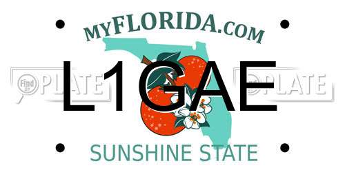 L1GAE Florida License Plate