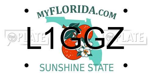 L1GGZ Florida License Plate