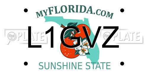 L1GVZ Florida License Plate