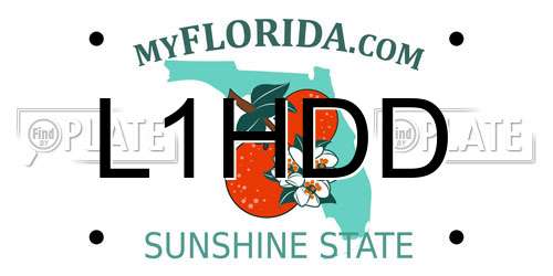 L1HDD Florida License Plate