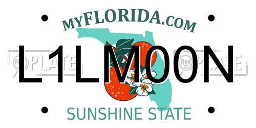 L1LM00N Florida License Plate