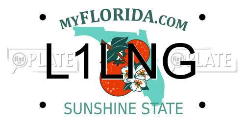 L1LNG Florida License Plate
