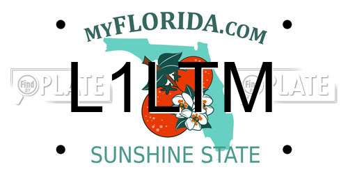 L1LTM Florida License Plate