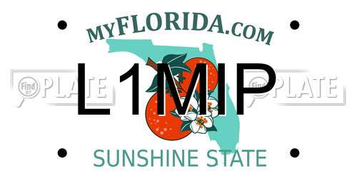 L1MIP Florida License Plate