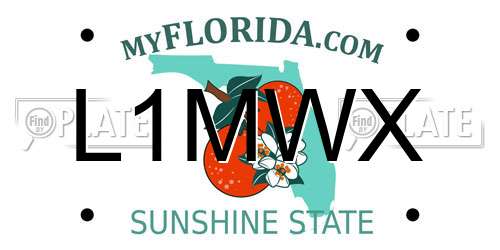 L1MWX Florida License Plate