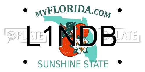 L1NDB Florida License Plate