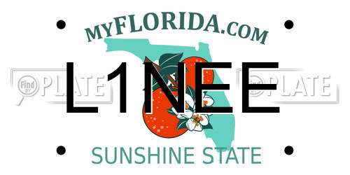 L1NEE Florida License Plate
