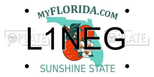 L1NEG Florida License Plate