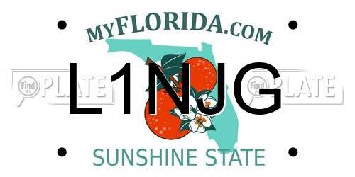 L1NJG Florida License Plate