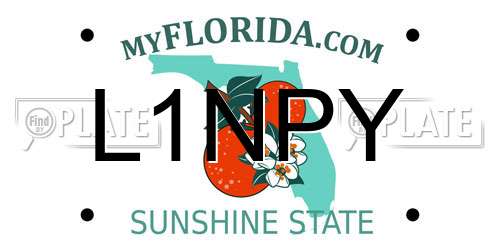 L1NPY Florida License Plate