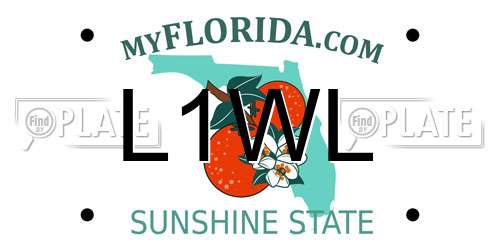 L1WL Florida License Plate