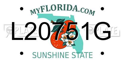 L20751G Florida License Plate