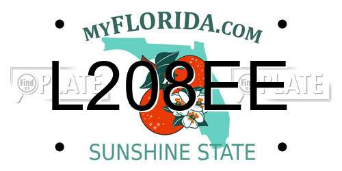 L208EE Florida License Plate