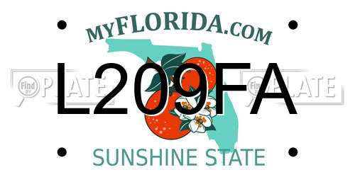 L209FA Florida License Plate