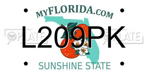 L209PK Florida License Plate