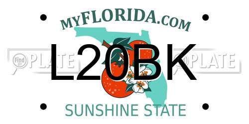 L20BK Florida License Plate