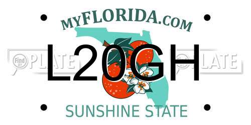 L20GH Florida License Plate
