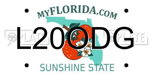L20ODG Florida License Plate